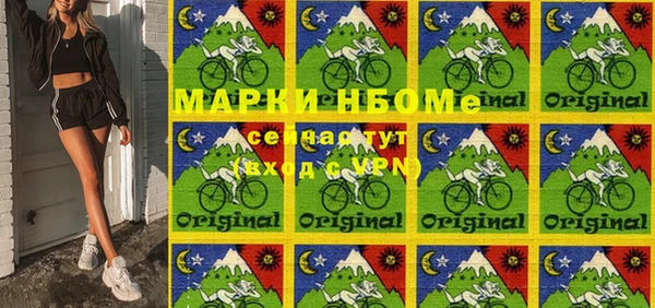 шишки Арсеньев