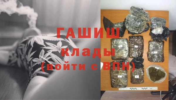 шишки Арсеньев